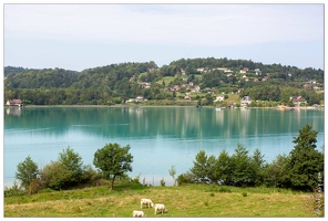 20190828-06 8812-Lac Aiguebelette