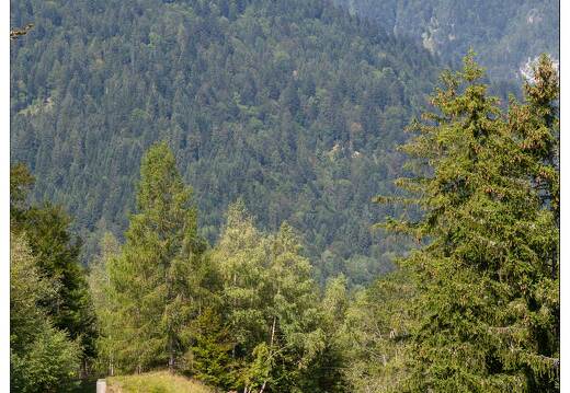 20190829-55 8922-Fort de Tamie