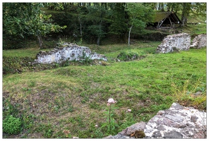 20190902-24 8489-Balade Ruines chateau Wildenstein