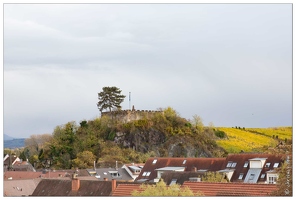 20161106-130 5514-Breisach am Rhein