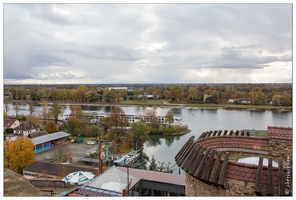 20161106-142 5538-Breisach am Rhein