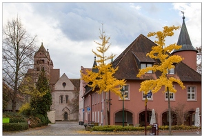 20161106-145 5529-Breisach am Rhein Cathedrale Saint Etienne