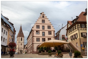 20190905-05 9073-Endingen am Kaiserstuhl