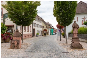 20190905-43 9125-Endingen am Kaiserstuhl