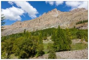 20190920-037 9245-Col de la Cayolle Bayasse