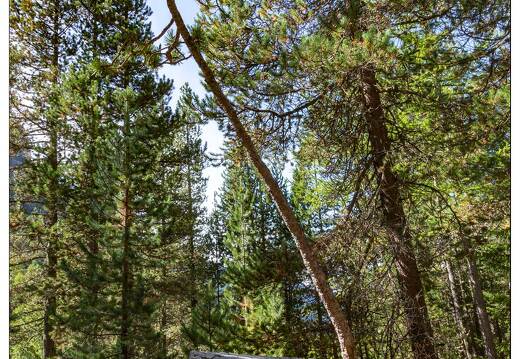 20190923-9341-Val d Escreins