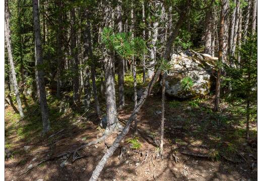 20190923-9344-Val d Escreins