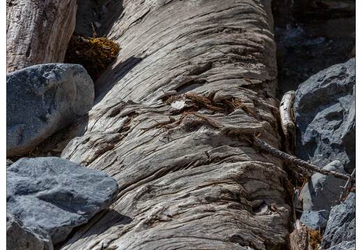 20190923-9353-Val d Escreins