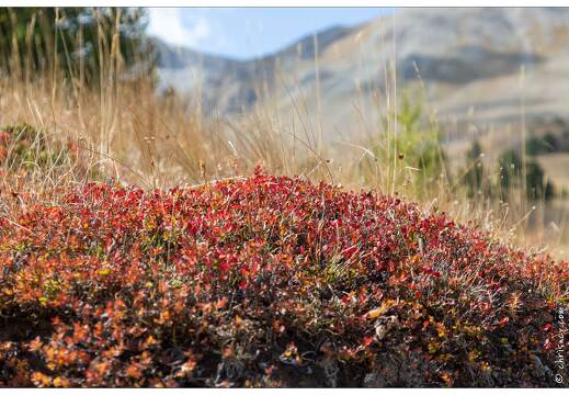 20190920-013 9214-Au Col de Vars