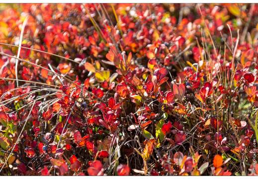 20190920-014 9215-Au Col de Vars