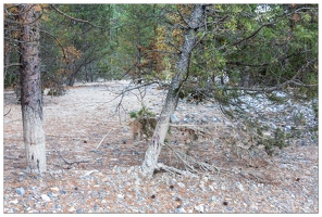 20190928-086 0213-Vallee de la Claree Coulee de boue