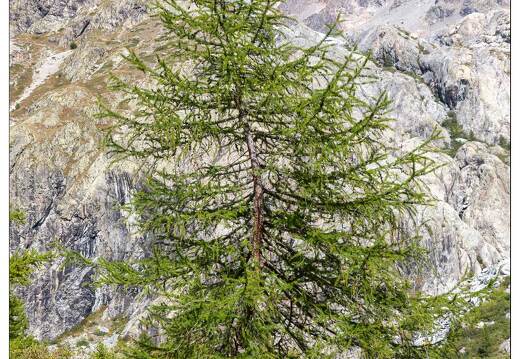 20190930-36 0268-Pre de Mme Carle