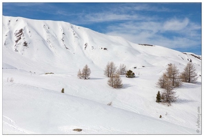 20200216-12 0817-Vars depuis telecabine Chabrieres