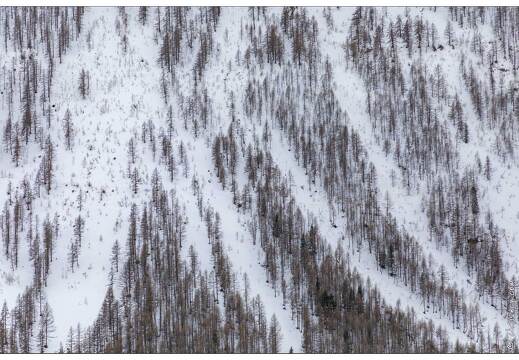 20200216-39 0874-Vars Col versant sud