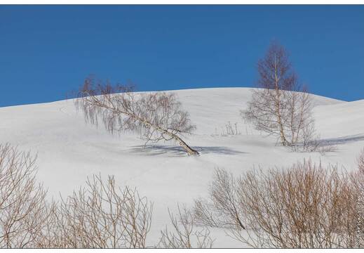 20200218-1096-Col du Lautaret versant ouest