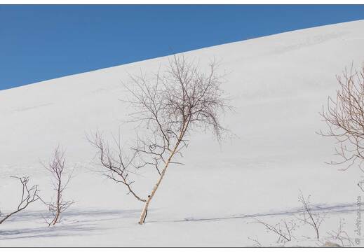 20200218-1097-Col du Lautaret versant ouest
