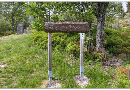 20200522-1091-La Bresse Monument du maquis