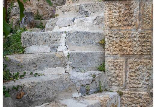 20200924-46 3521-Roubion