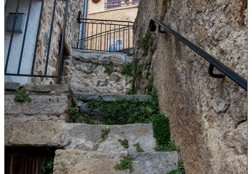 20200924-47 3522-Roubion