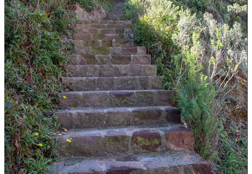 20201005-64 4792-Corniche de l Esterel Calanque du Petit Caneiret