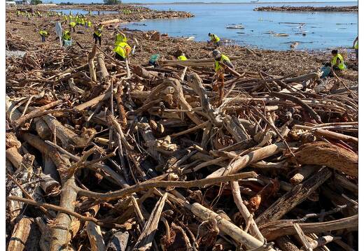 20201008-70 3636-Saint Laurent du Var Bois de la tempete