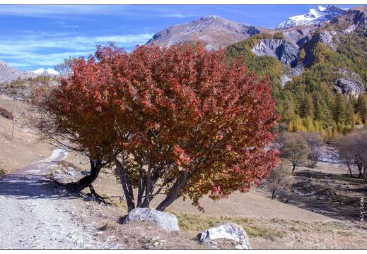 20201012-11 0071-Maljasset