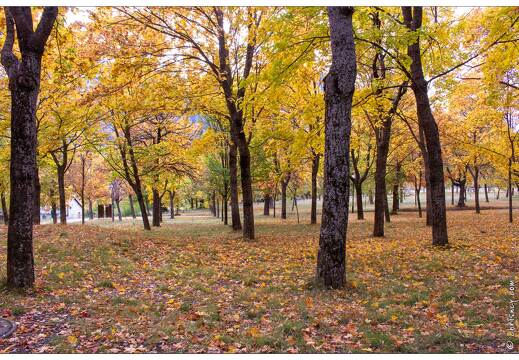 20201016-0258-Mont Dauphin