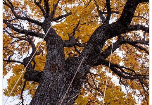 20201016-0265-Mont Dauphin