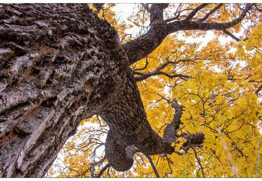 20201016-0266-Mont Dauphin