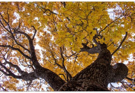 20201016-0268-Mont Dauphin