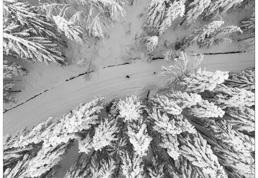 20210110-0020-La Bresse Lac des corbeaux