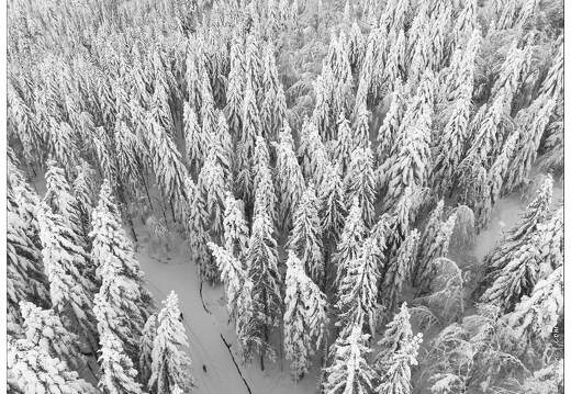 20210110-0022-La Bresse Lac des corbeaux