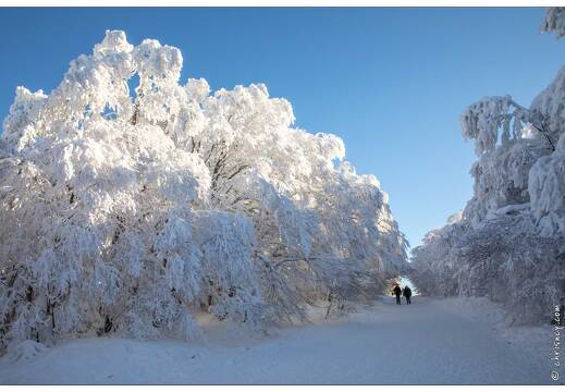20210111-5548-La Bresse Route des cretes