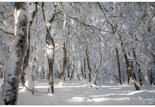 20210111-5554-La Bresse Route des cretes