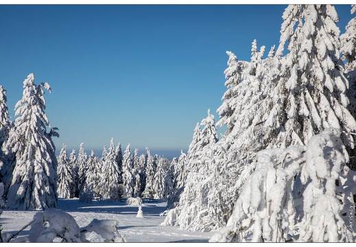 20210111-5560-La Bresse Route des cretes