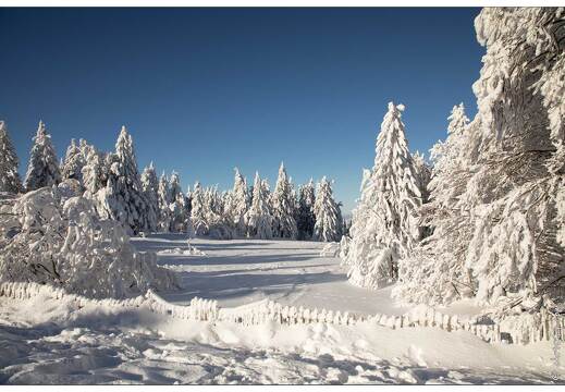 20210111-5555-La Bresse Route des cretes