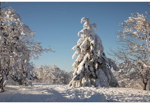 20210111-5563-La Bresse Route des cretes