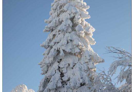 20210111-5576-La Bresse Route des cretes
