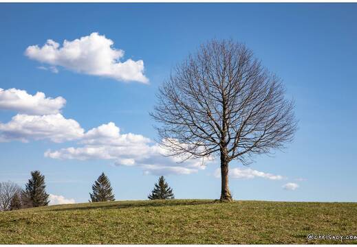 20210401-6019-Basse sur le Rupt La Piquante Pierre 