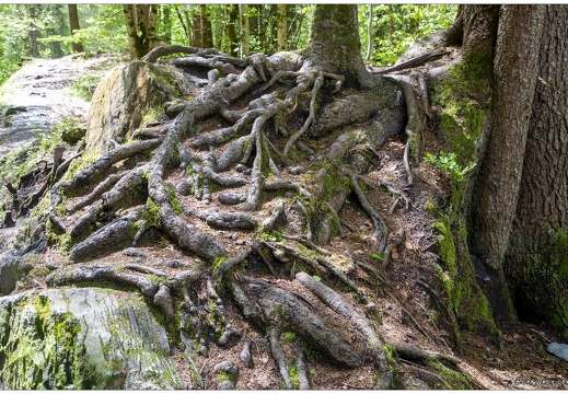 20210520-6299-Cirque Sixt Fer a Cheval