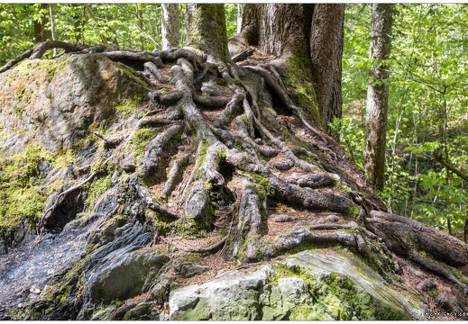 20210520-6300-Cirque Sixt Fer a Cheval