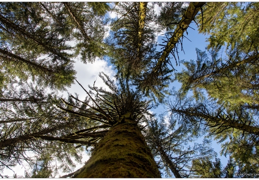 20210528-6801-Gerardmer Le Saut de la Bourrique