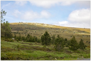 Le Mont Lozère
