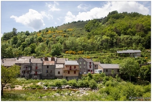 20210609-08 7033-Le Pont de Montvert 