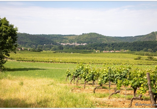 De Luzech à Puy-l'Eveque par le lot à l'Ouest de Cahors