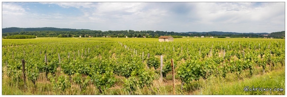 20210616-20 7981-Anglars Juillac le vignoble Pano