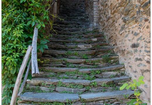 20210614-29 7741-Conques en Rouergue