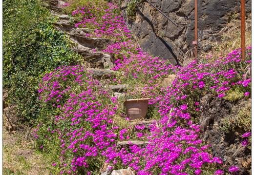 20210614-72 7797-La Vinzelle Escalier