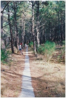 Vensac Hourtin Arcachon 1982