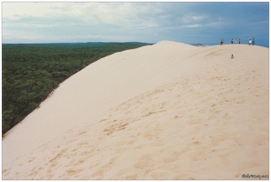 19870800-260p-Dune du Pilat